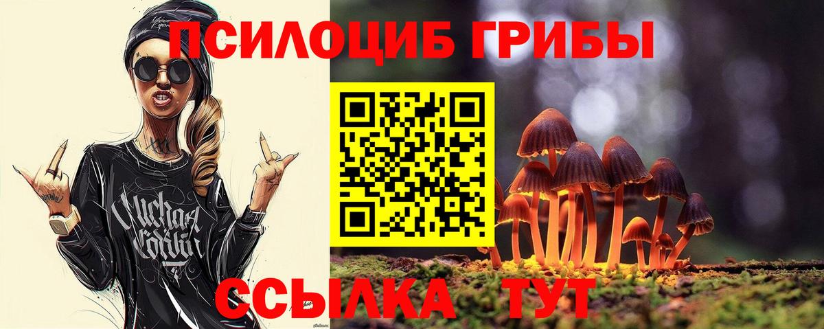 Псилоцибиновые грибы Psilocybe  что такое   Лосино-Петровский  Вход с VPN 